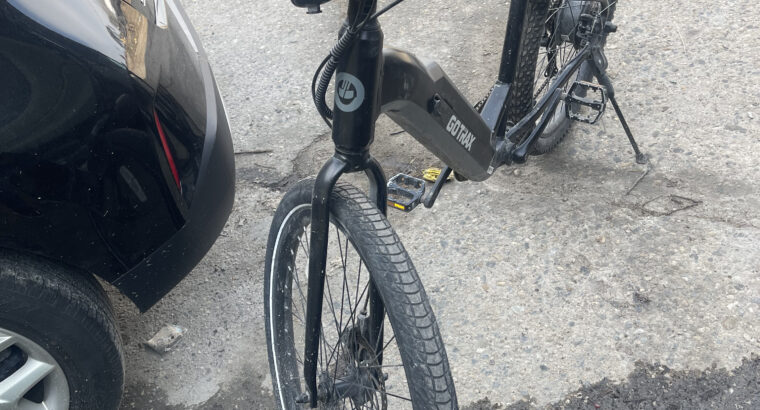 Electric Mountain Bike